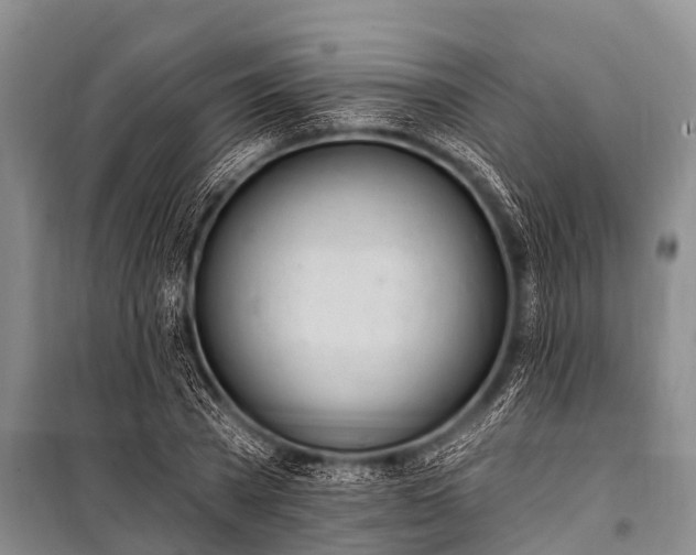 X0000100960785200807011331