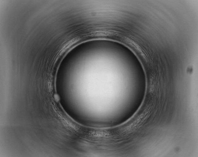 X0000100960786200807011331