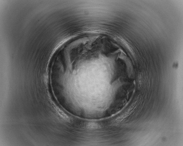 X0000100960787200807011331