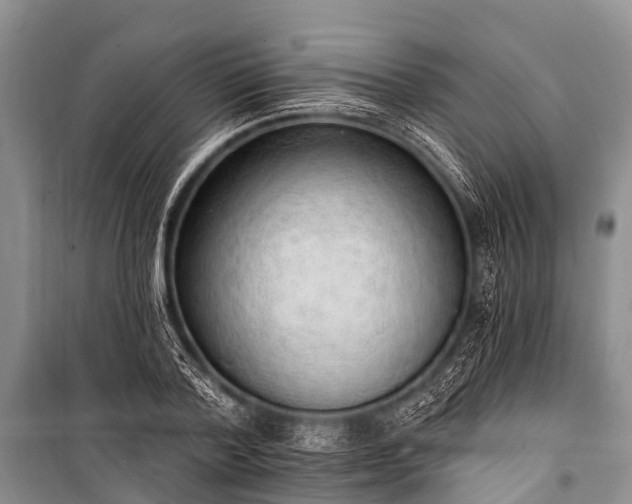 X0000100960788200807011331