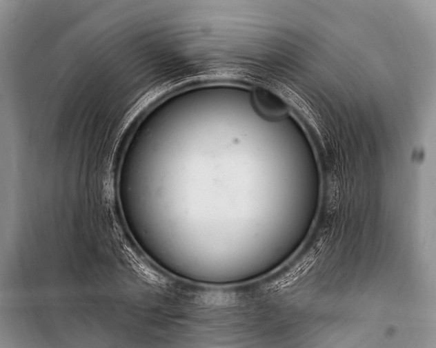 X0000100960789200807011331