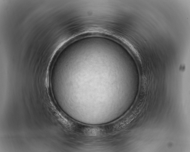 X0000100960791200807011331