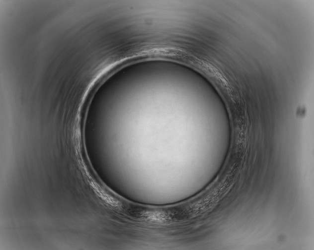 X0000100960792200807011331
