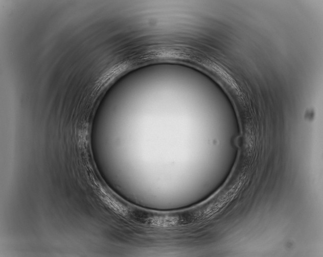 X0000100960793200807011331