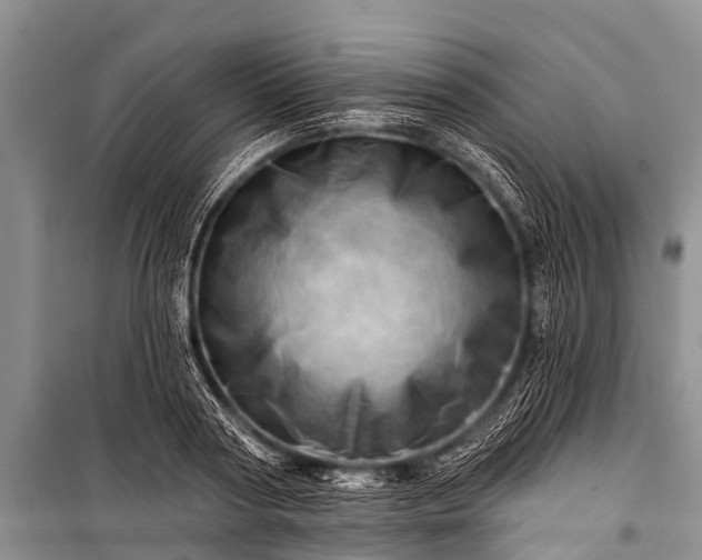 X0000100960794200807011331