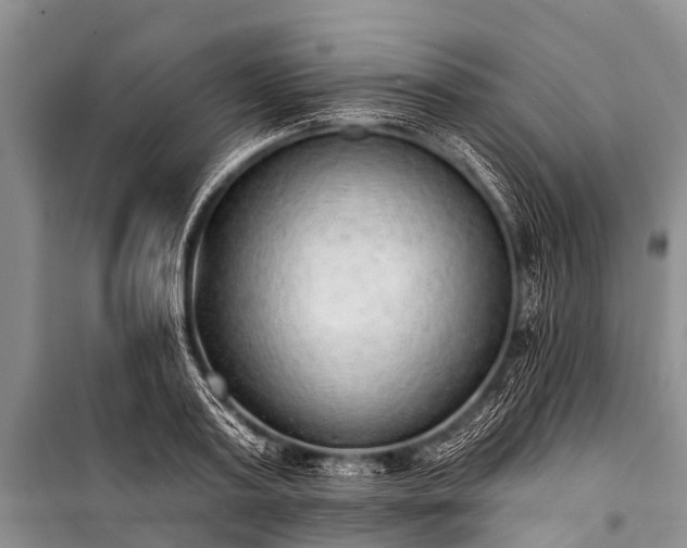 X0000100960795200807011331