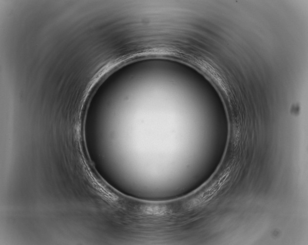 X0000100960797200807011331