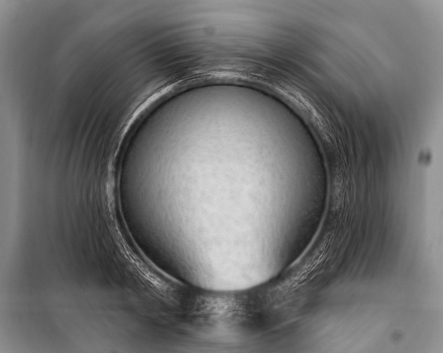 X0000100960798200807011331