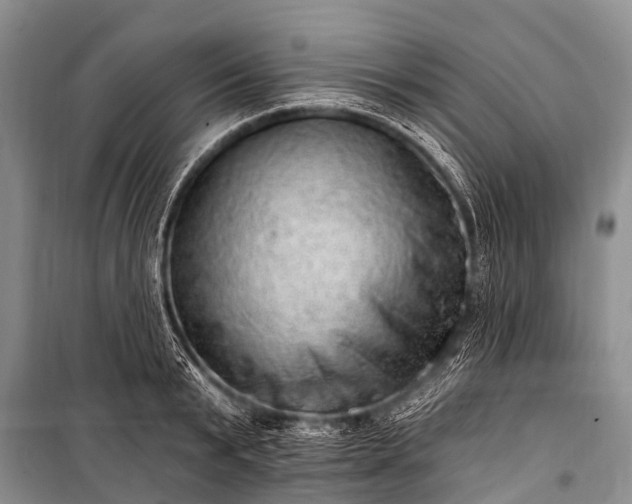 X0000100960799200807011331
