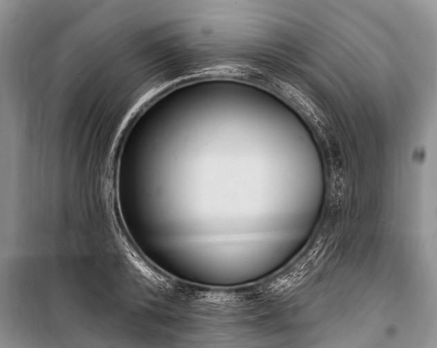 X0000100960800200807011331