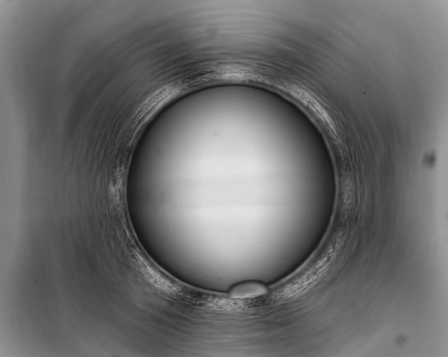 X0000100960801200807011331