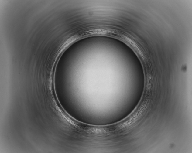 X0000100960802200807011331