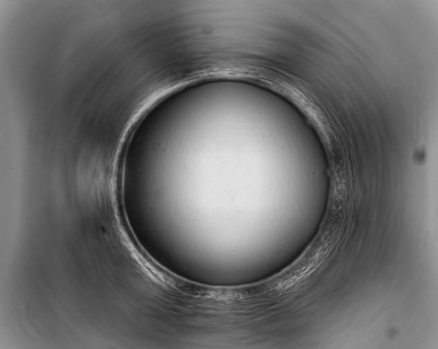 X0000100960803200807011331