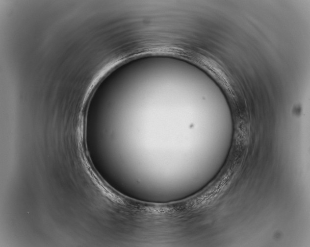X0000100960804200807011331