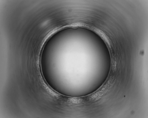 X0000100960805200807011331