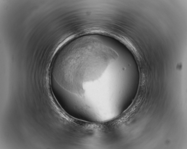 X0000100960806200807011331