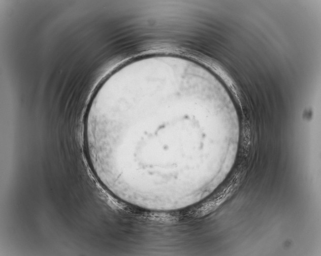 X0000100960807200807011331
