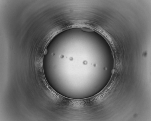 X0000100960809200807011331