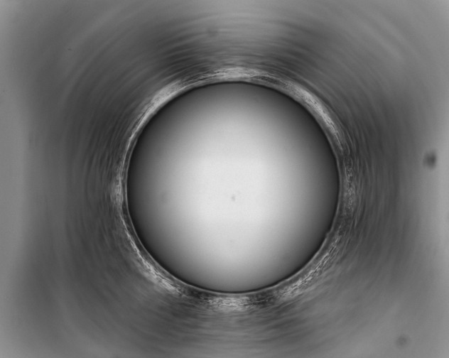 X0000100960810200807011331