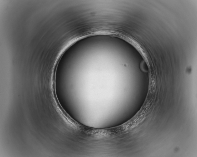X0000100960811200807011331