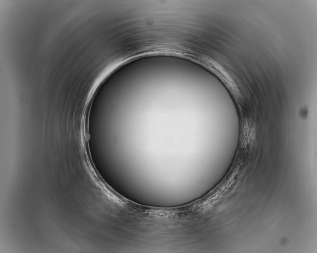 X0000100960812200807011331