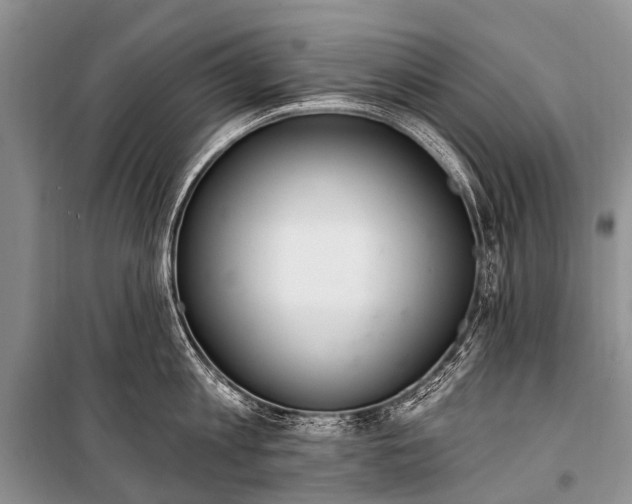 X0000100960813200807011331