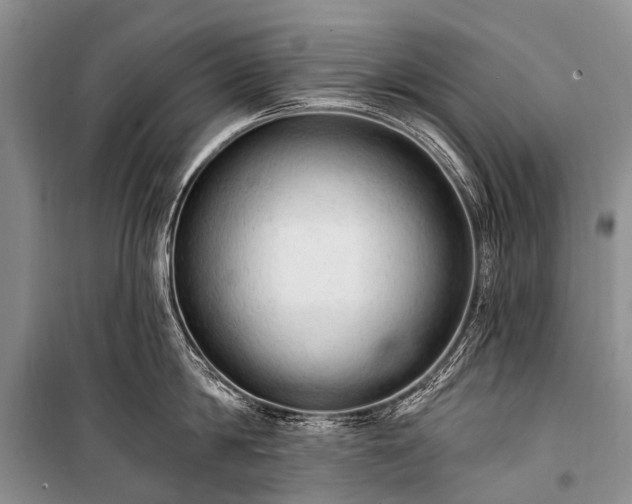 X0000100960814200807011331