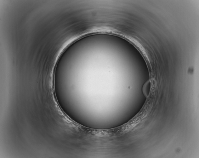 X0000100960815200807011331