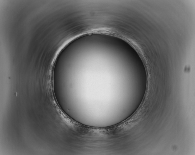 X0000100960816200807011331