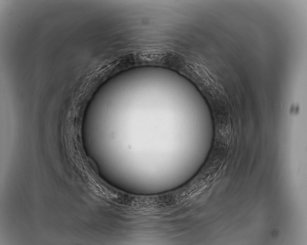 X0000100960817200807011330