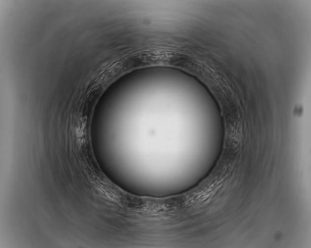 X0000100960818200807011330