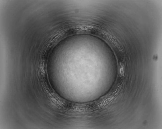 X0000100960819200807011330