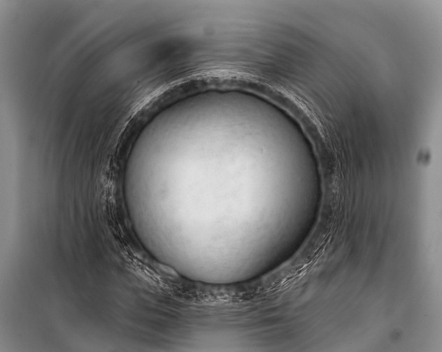 X0000100960823200807011330