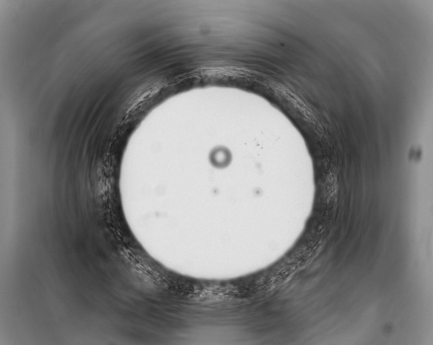 X0000100960824200807011330