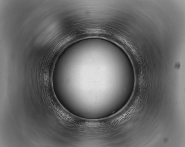 X0000100960825200807011330