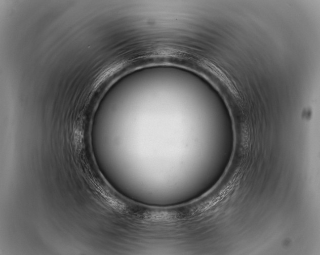 X0000100960826200807011330
