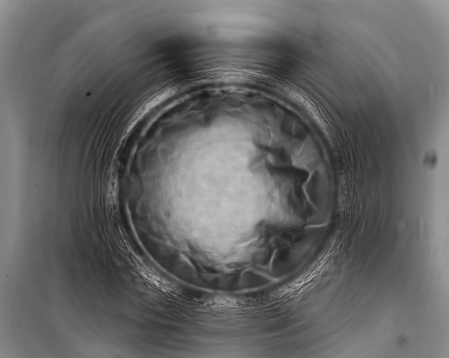 X0000100960827200807011330