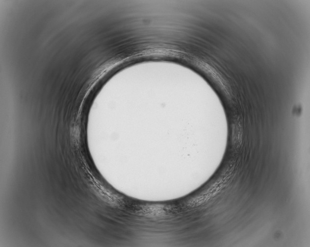 X0000100960828200807011330
