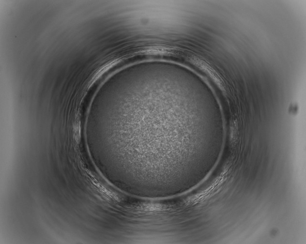 X0000100960829200807011330