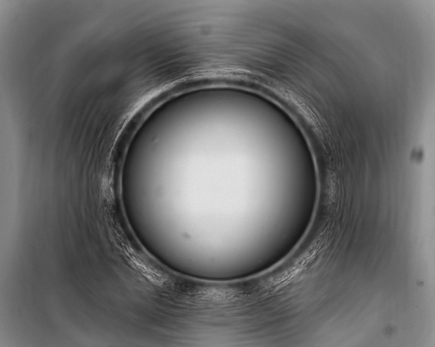 X0000100960830200807011330