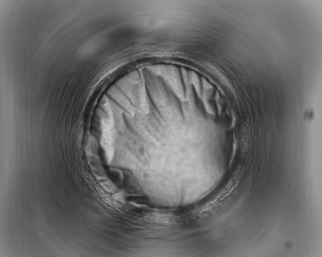 X0000100960831200807011330
