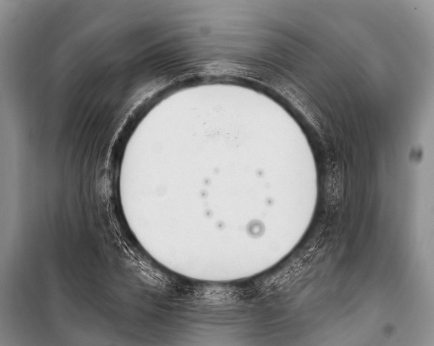 X0000100960832200807011330
