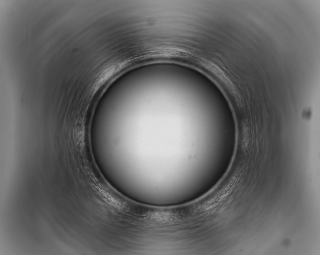 X0000100960834200807011330