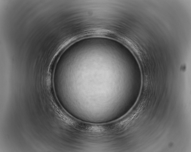 X0000100960835200807011330