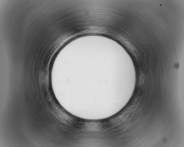 X0000100960836200807011330