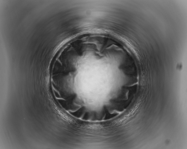 X0000100960837200807011330