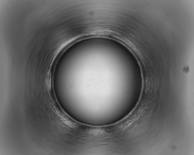 X0000100960838200807011330