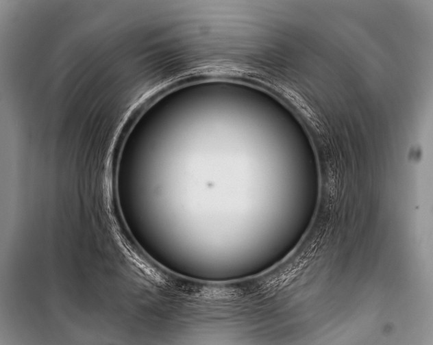 X0000100960840200807011330