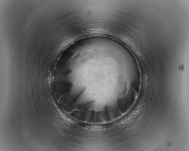 X0000100960841200807011330