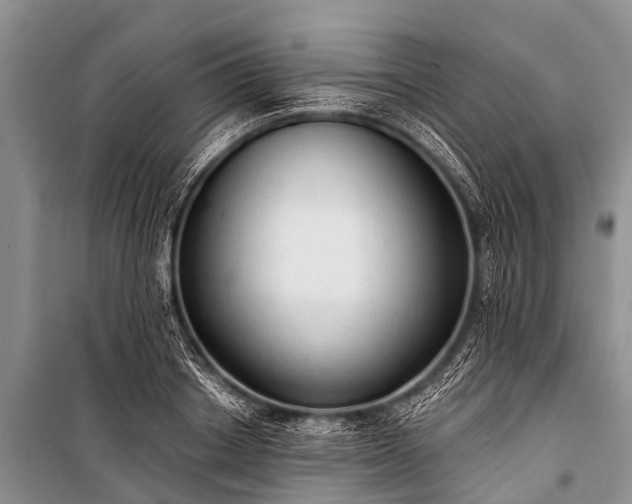 X0000100960842200807011330